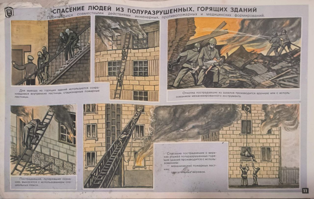 Страница 11